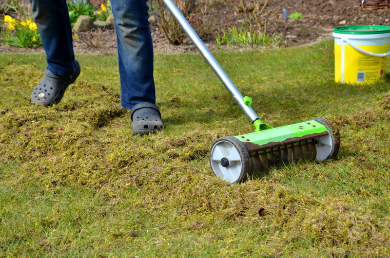 Rasen düngen mit dem Streuwagen Rasen düngen