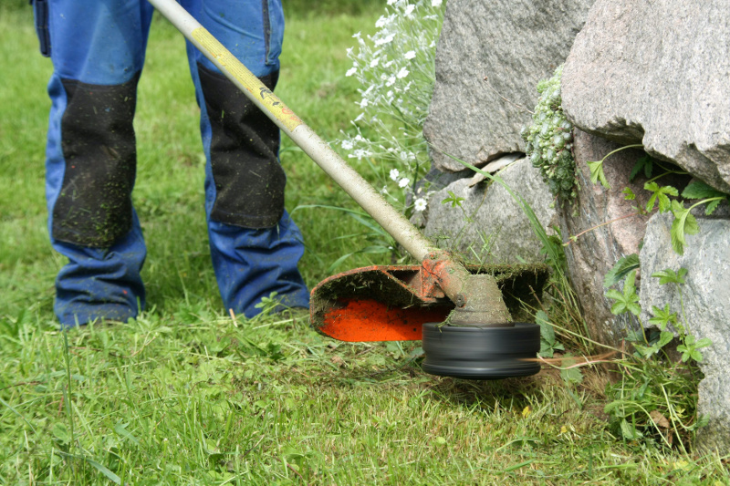 Grashalme an einer Steinkante mit dem Rasenkantenschneider kürzen Rasenkantenschneider im Einsatz